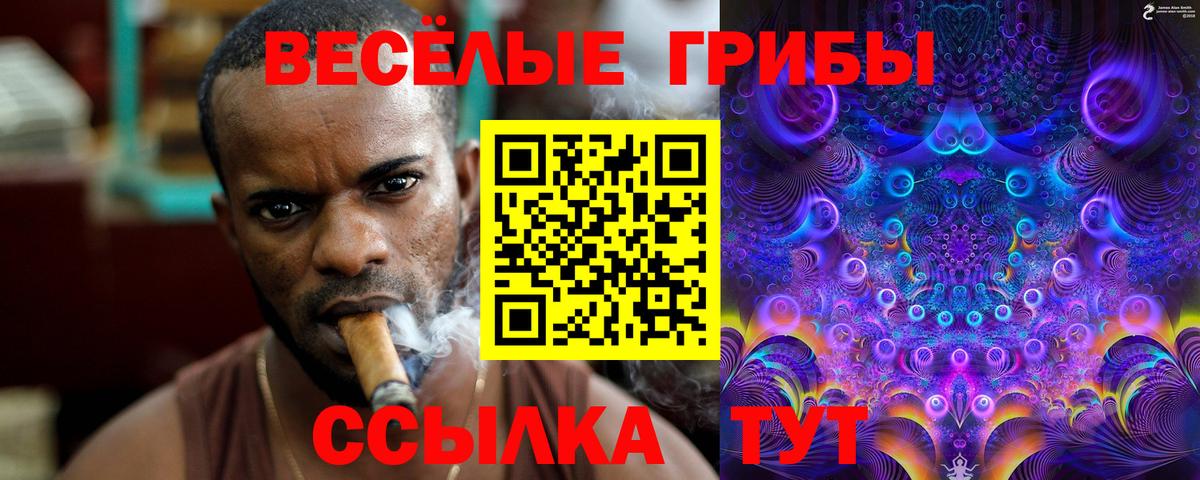 Псилоцибиновые грибы мицелий  как найти   Нарткала  Псилоцибиновые грибы Psilocybine cubensis  Вход с VPN 