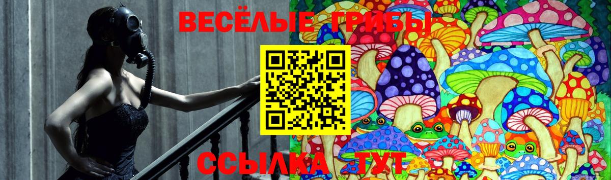 Псилоцибиновые грибы Cubensis Нарткала